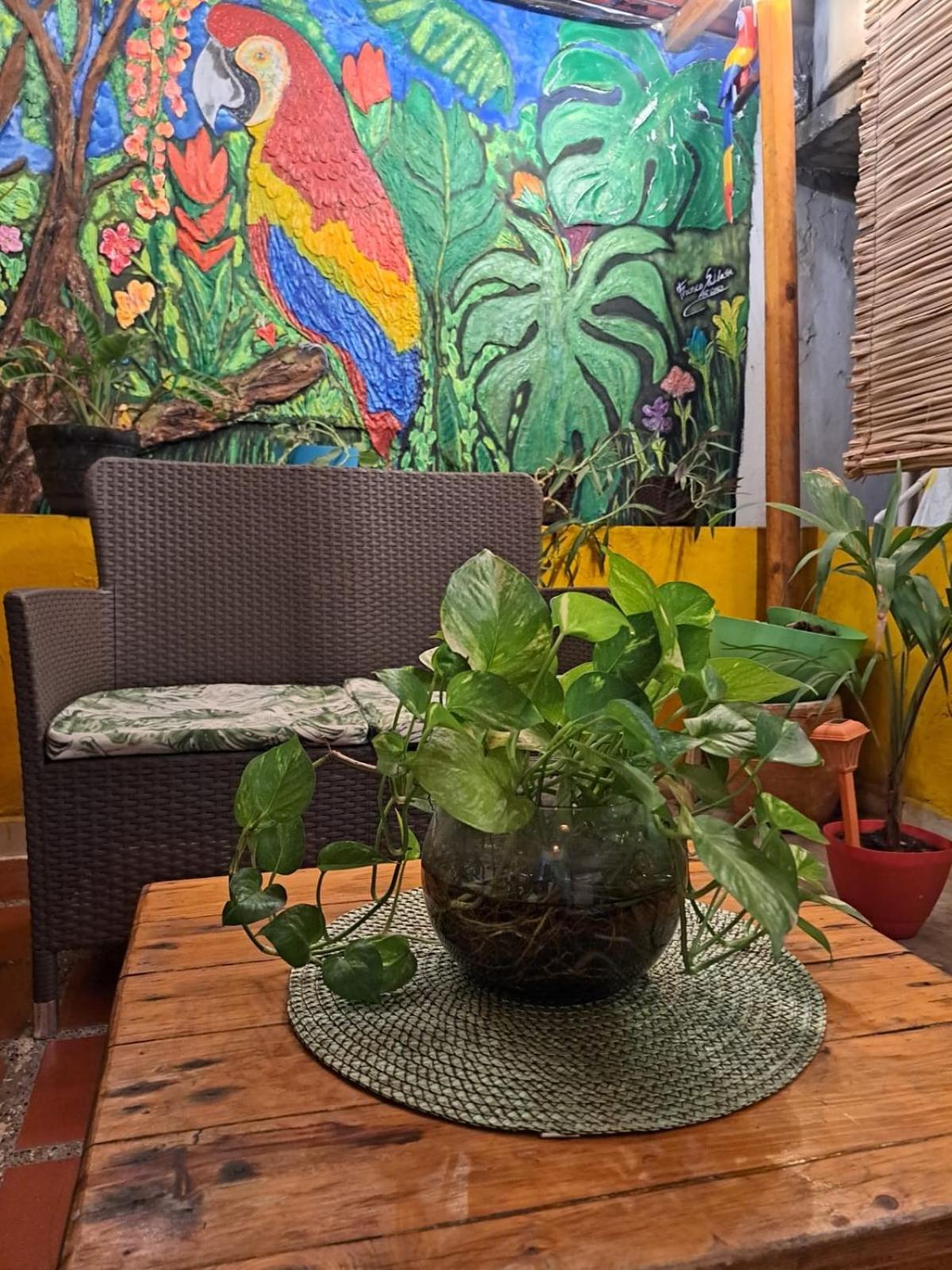 Hostel Shalom Adonai Cartagena ภายนอก รูปภาพ